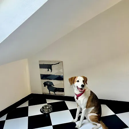 La Mansarda Del Principe, Vicoli, Acquario E Lanterna Apartamento