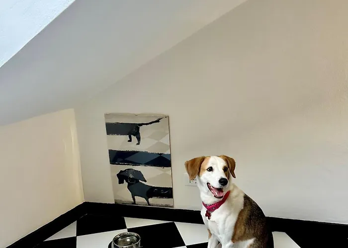 La Mansarda Del Principe, Vicoli, Acquario E Lanterna Apartmán